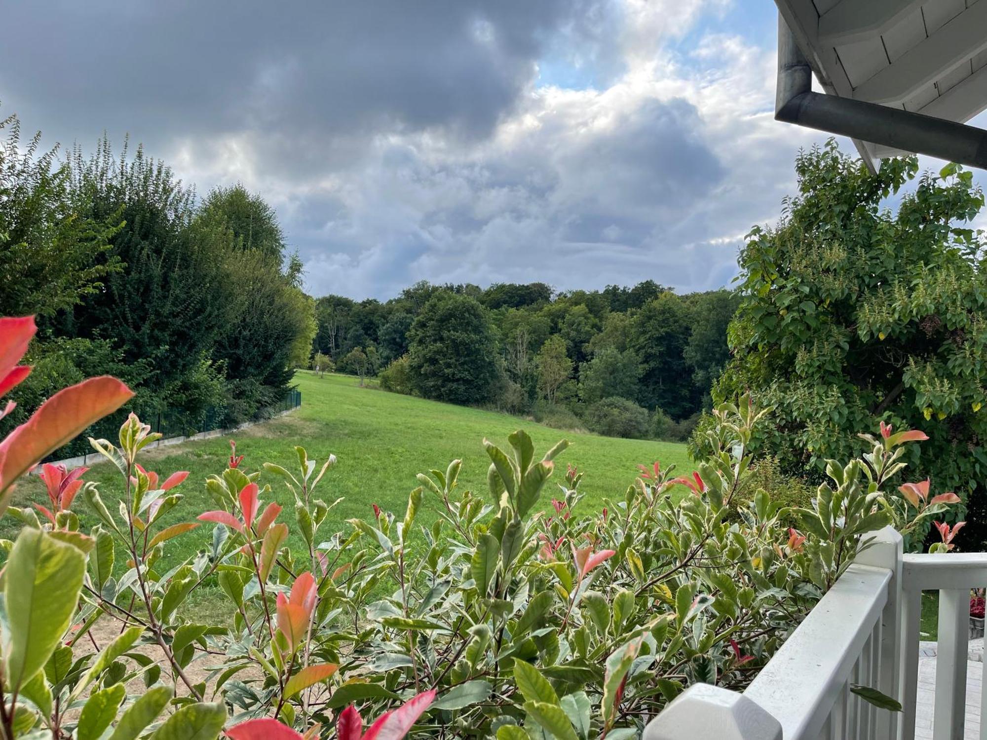 Hotel Tulipes Et Cetera Waldighoffen Esterno foto